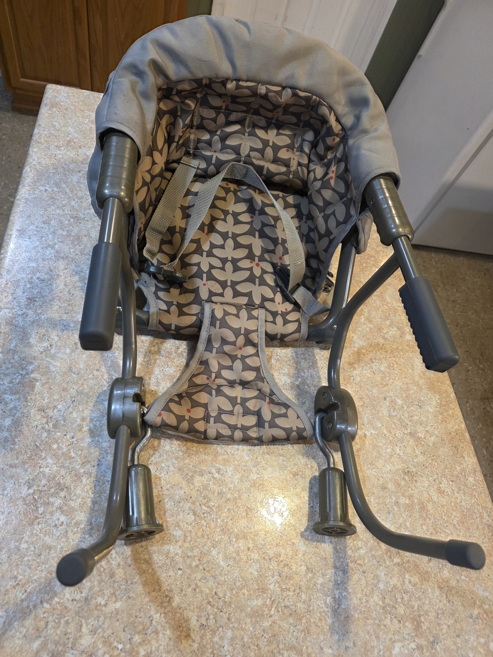 Portable Booster Chair